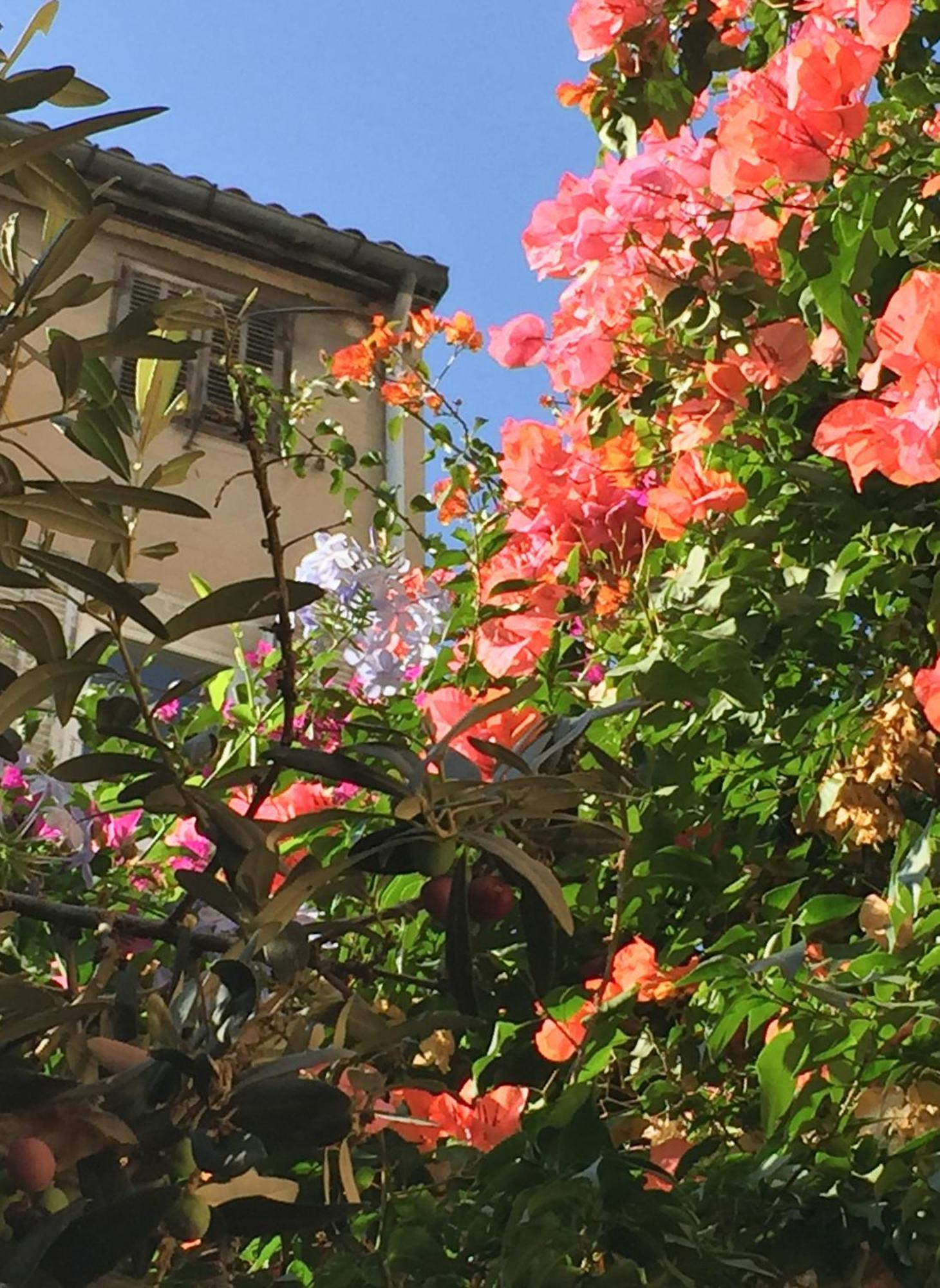 Maison Olea Marseille Eksteriør billede